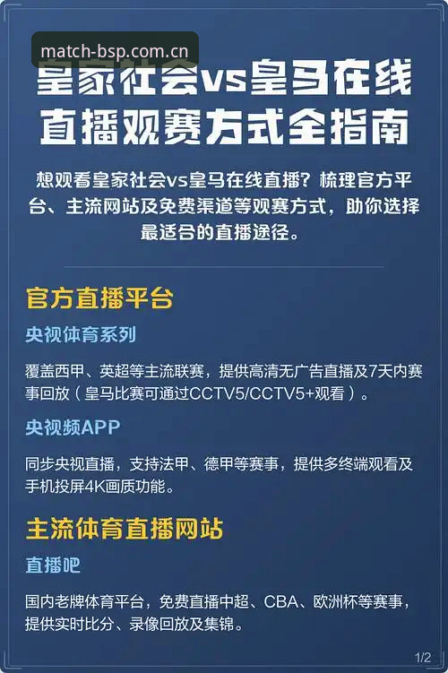BSP体育赛事深度体验指南：从下载到直播的实用技巧