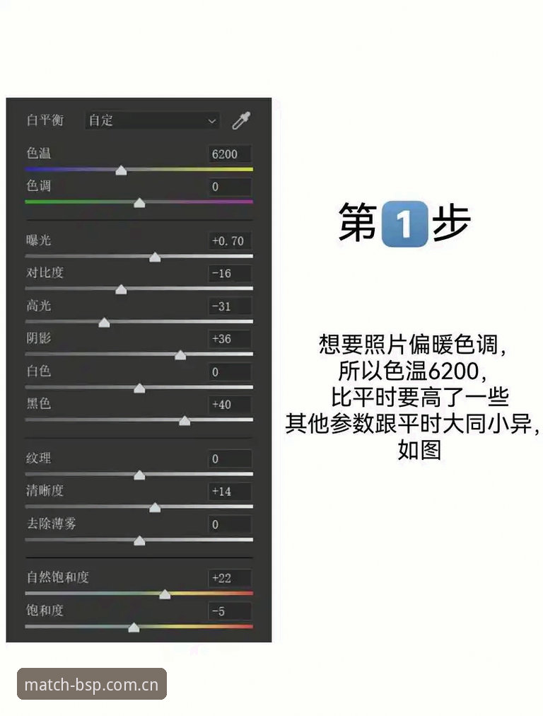 新手也能玩转BSP高光时刻对比实用技巧