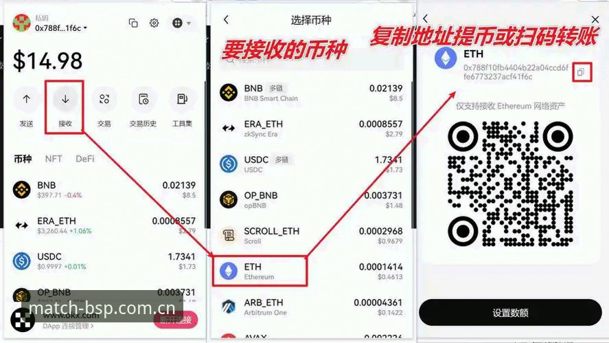 BSP下载地址的3种获取方式：2024最新版B体育官方平台接入指南