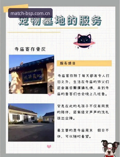 B体育官方平台BSP iOS版安装教程的核心要点与避坑指南